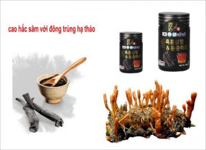 cao hắc sâm đông trùng hạ thảo