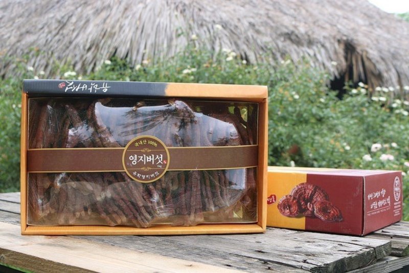 nấm linh chi núi sừng hươu Hàn Quốc