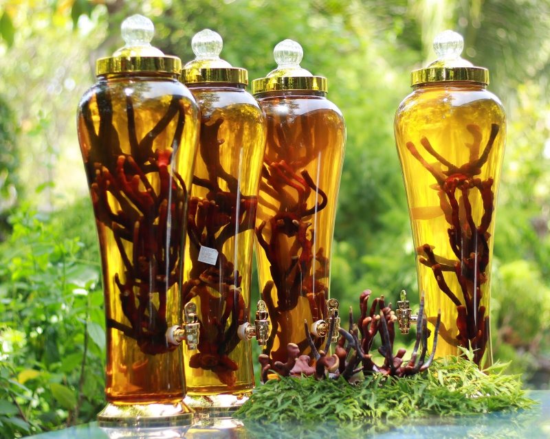 nấm linh chi núi sừng hươu Hàn Quốc