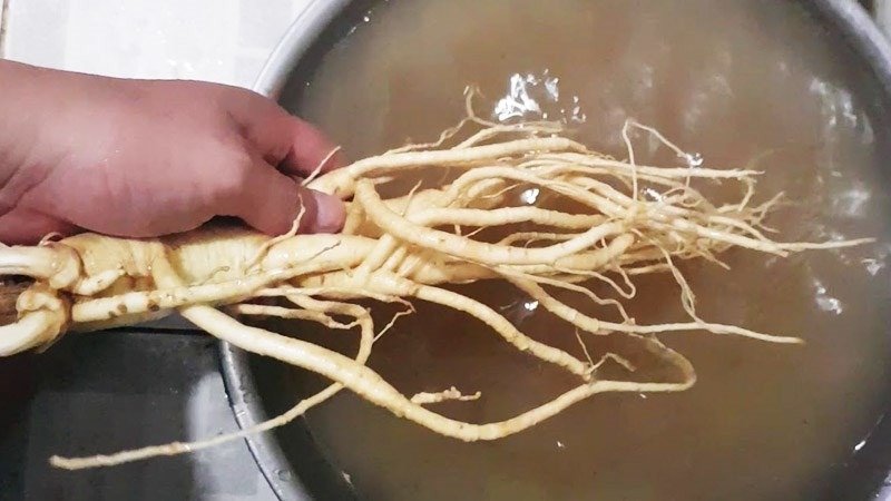 bảo quản nhân sâm đúng cách