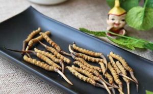 uống đông trùng hạ thảo có nóng không