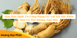 Công dụng cùa hồng sâm